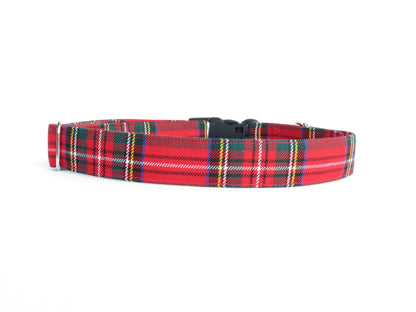 Collier pour animaux de compagnie Royal Stewart Tartan pour photos de Noël