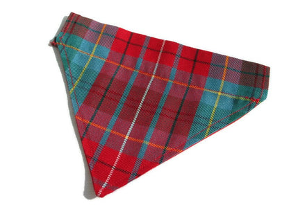 Magnifique bandana pour chien tartan de la Colombie-Britannique