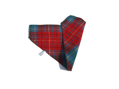 Magnifique bandana pour chien tartan de la Colombie-Britannique