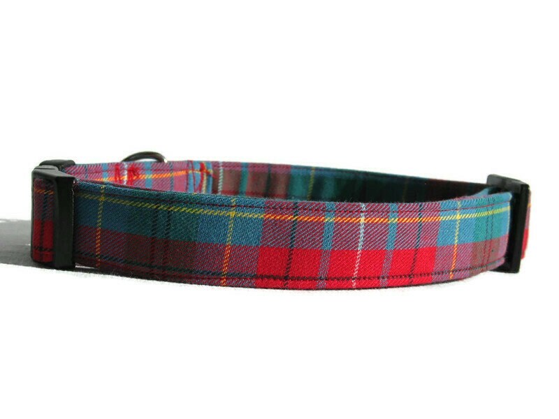 British Columbia Tartan Dog Collar