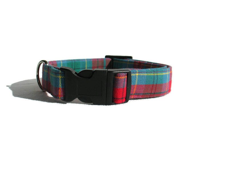 British Columbia Tartan Dog Collar