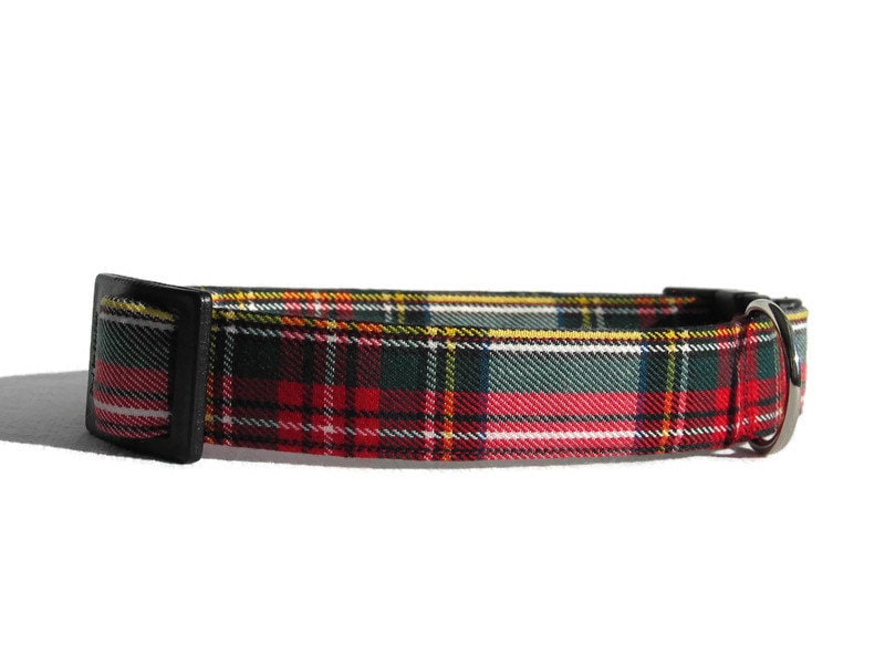 Robe Stewart Tartan Collier Pour Chien