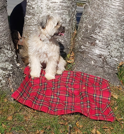 Couverture pour chien tartan Royal Stewart