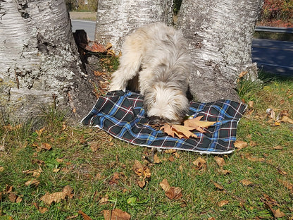 Couverture pour chien tartan Royal Stewart