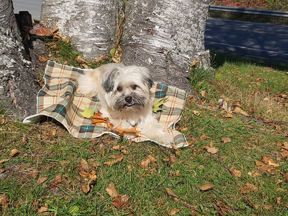 Gordon Tartan Lap Throw ou couverture pour chien