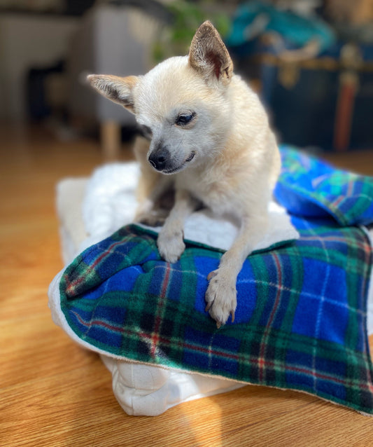 Nova Scotia Tartan Pet Blanket