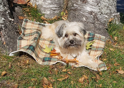 Couverture pour chien tartan de la Saskatchewan