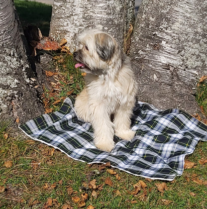 Gordon Tartan Lap Throw ou couverture pour chien