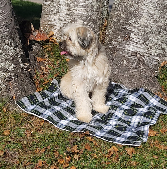 Gordon Tartan Dog Blanket