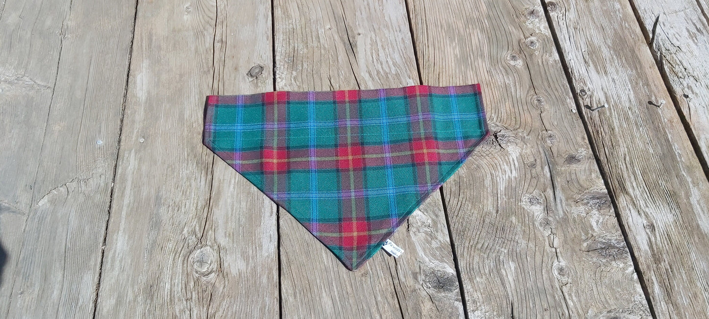 Foulard pour chien tartan du Manitoba