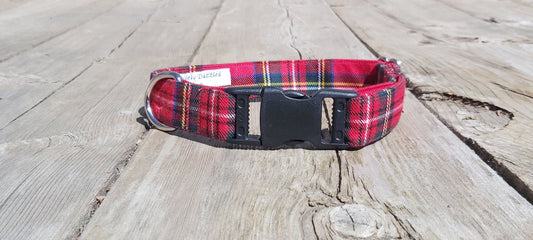 Royal Stewart Tartan Puppy Adoption Collar