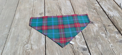 Foulard pour chien tartan du Manitoba