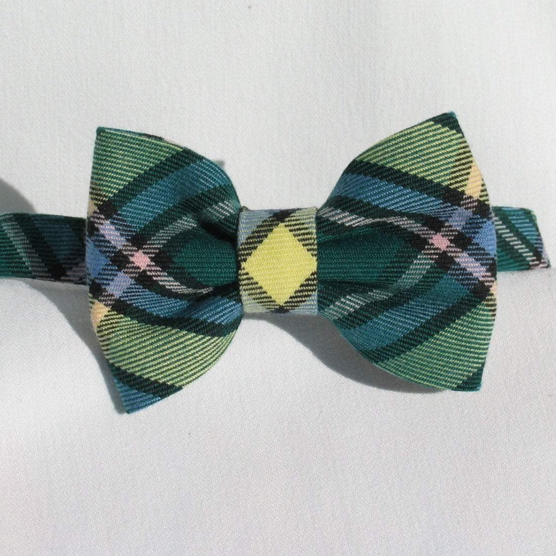 Alberta Tartan Bow Tie-Taylors Tartans