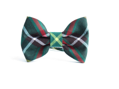 Nœud papillon pour chien tartan de Terre-Neuve