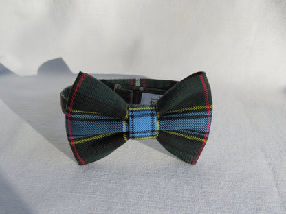 Labrador Tartan Bow Tie-Taylors Tartans