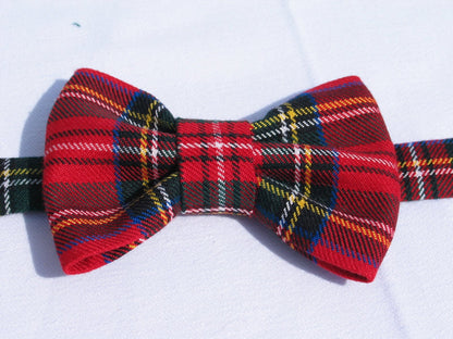 Royal Stewart Freestyle Bow Tie-Taylors Tartans